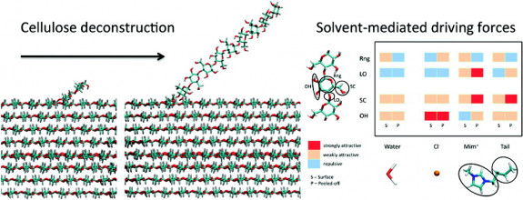 Color graphic depicting cellulose deconstruction