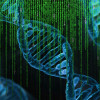 Artistic rendering of DNA ladders