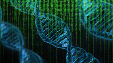 Artistic rendering of DNA ladders