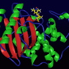 biocatalysis.gif