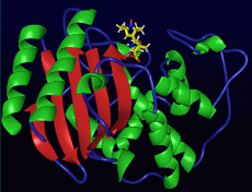 biocatalysis.gif