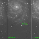 ptf11kly-1.jpg