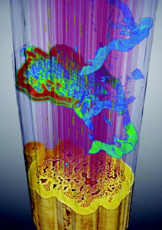 Three-dimensional color  rendering from computed microtomography data