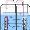 Diagram depicting electro-reduction of CO2