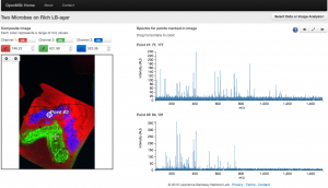 Screen-shot of the OpenMSI online data viewer