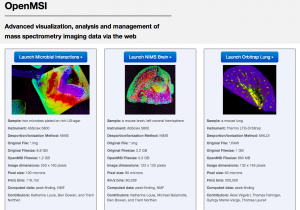 Screen-shot of the OpenMSI Science Gateway