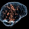 Neural1.jpg