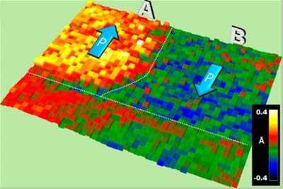 Color visualization of a ferroelectric film on a metal