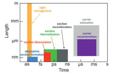 Color graph depicting sunlight absorption initiating a cascade of processes