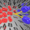 Conceptual illustration of process spawning several carries from a single photon.