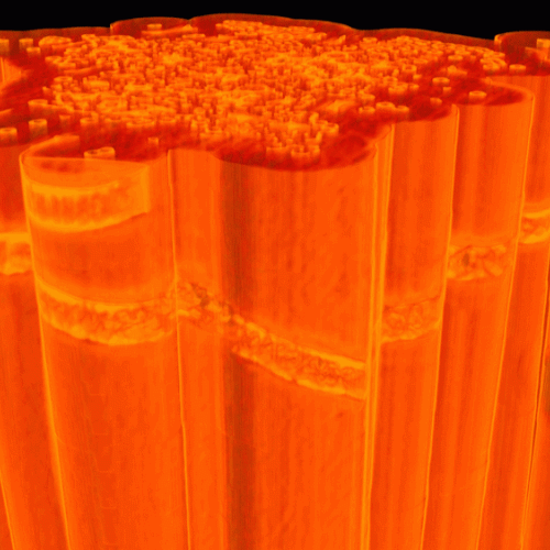 ceramic crack ushizima loring