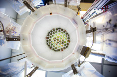 Photo view inside the LUX detector.
