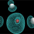 MSR image