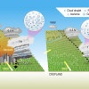 PNNL.AGU .weathersystemFIGURE.1600x1200