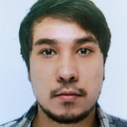 Vinicius Mikuni