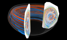 Brightly colored visualization of plasma density fluctuation