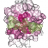 cancermutations3