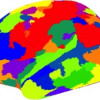 A human brain parcellation derived from HP-CONCORD’s results