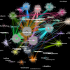 Color visualization of metagenomic clustering powered by HPC