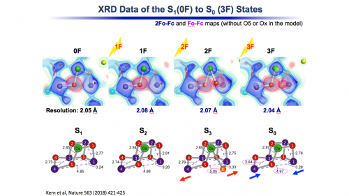 PSII Fig1