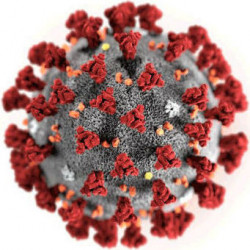Model of the SARS-CoV-2 coronavirus