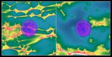 Color composite visualizaion of 2 astrophysics simulations shows a Type Ia supernova expanding