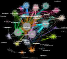 Color visualization of metagenomic clustering powered by HPC