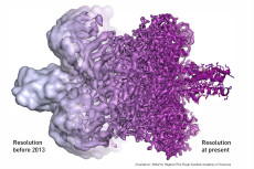 fig ke en 17 blobology