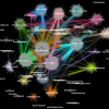 Color visualization of metagenomic clustering powered by HPC