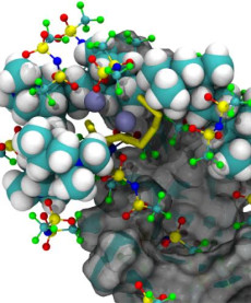 lithium sulfur illustration LBNL