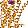 m2receptor