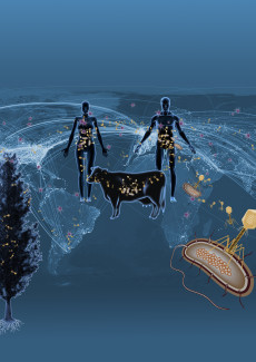 virome graphic art by Z Rostomian LBNL