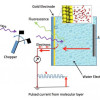 Color diagram of molecular structure of liquid water at a gold surface under different charging conditions